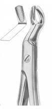  Fig. 67 upper third molars 